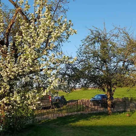 The Old Farm House Holiday home Stoumont